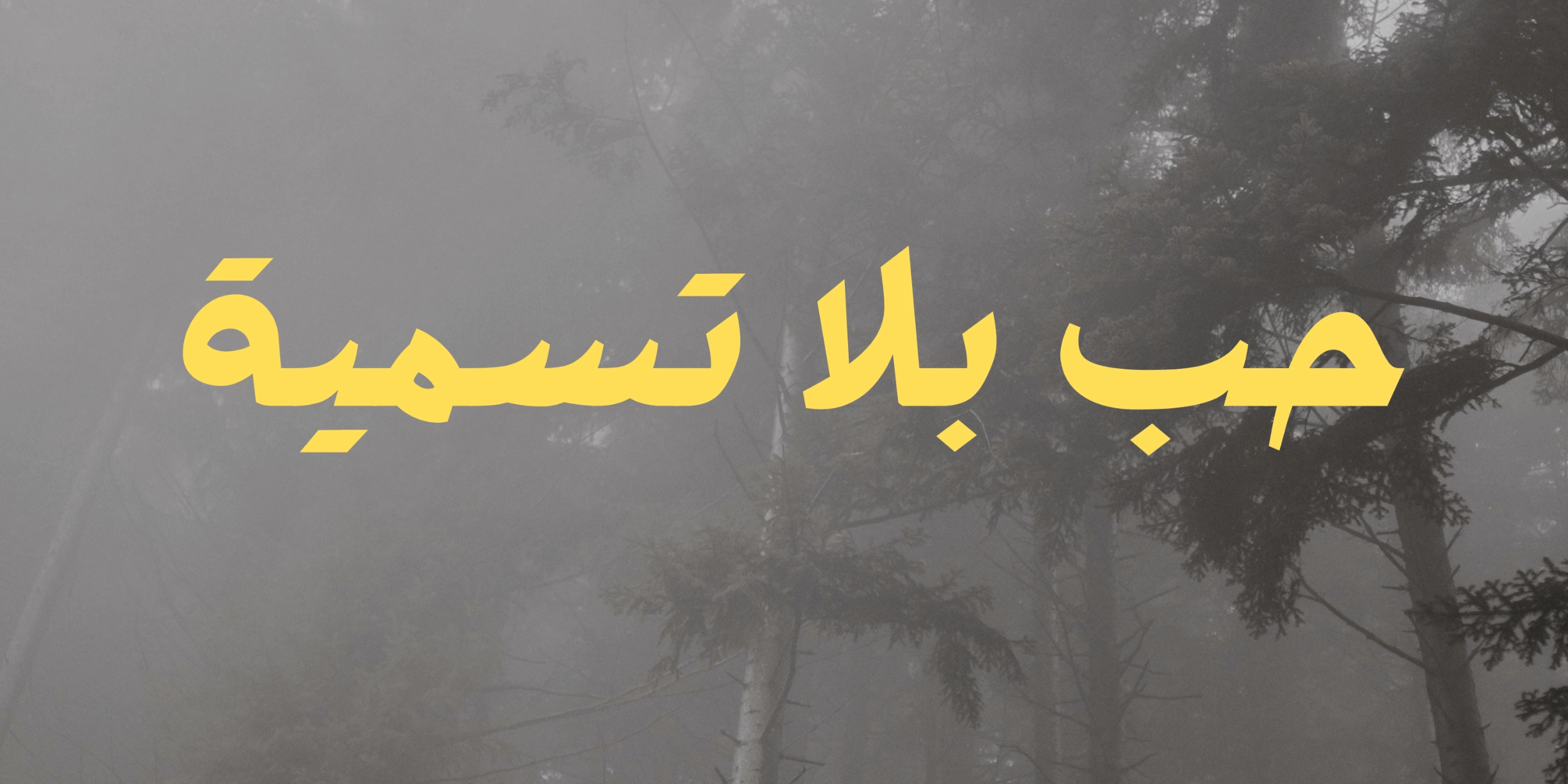 الثاني المميز